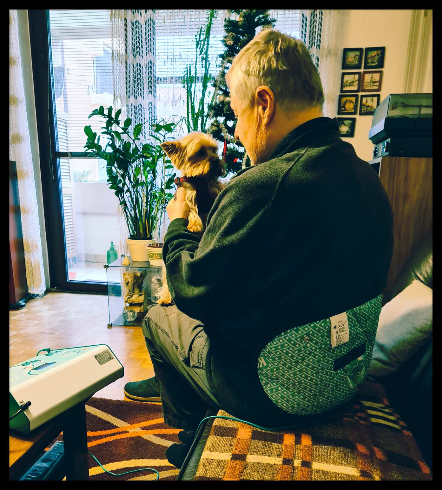 Ljubomir Knez, 73 let